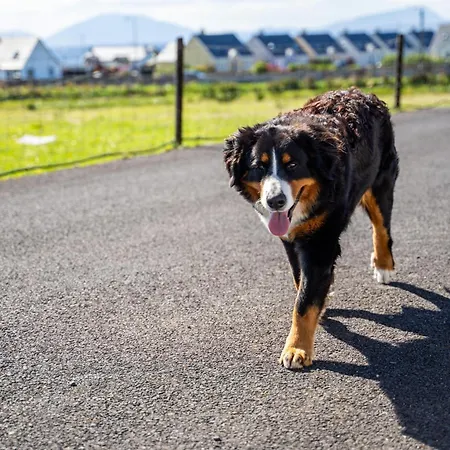 Κάμπινγκ Geraghtys Farmyard Pods