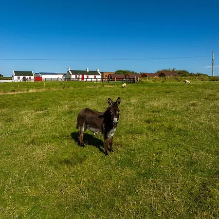 Geraghtys Farmyard Pods * Belmullet