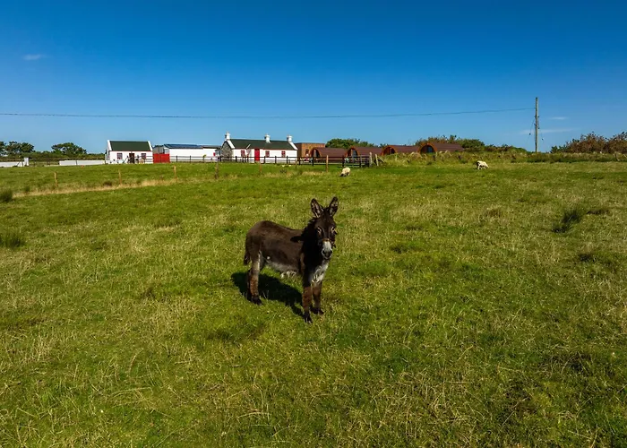 Geraghtys Farmyard Pods * Белмаллет