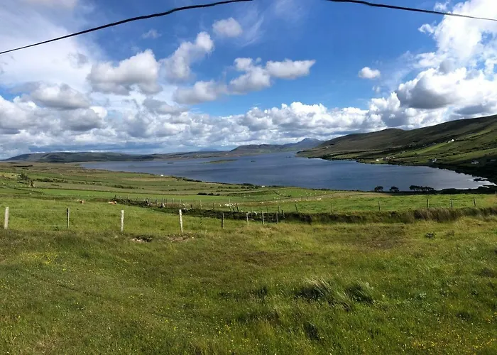 Geraghtys Farmyard Pods * Белмаллет